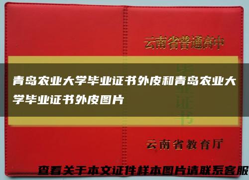 青岛农业大学毕业证书外皮和青岛农业大学毕业证书外皮图片缩略图