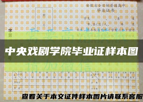 中央戏剧学院毕业证样本图缩略图