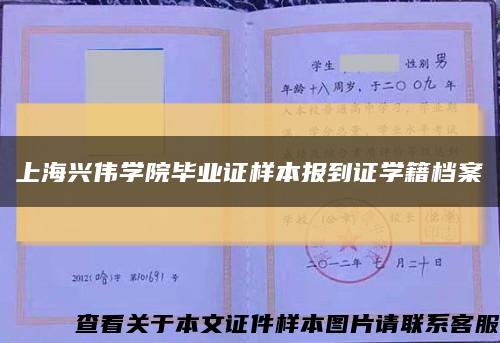 上海兴伟学院毕业证样本报到证学籍档案缩略图