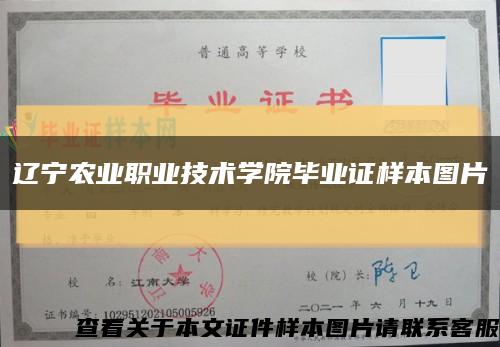 辽宁农业职业技术学院毕业证样本图片缩略图