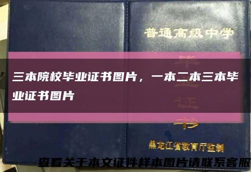 三本院校毕业证书图片，一本二本三本毕业证书图片缩略图