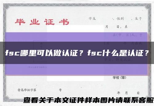 fsc哪里可以做认证？fsc什么是认证？缩略图