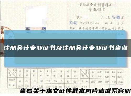 注册会计专业证书及注册会计专业证书查询缩略图