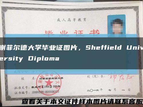 谢菲尔德大学毕业证图片，Sheffield University Diploma缩略图