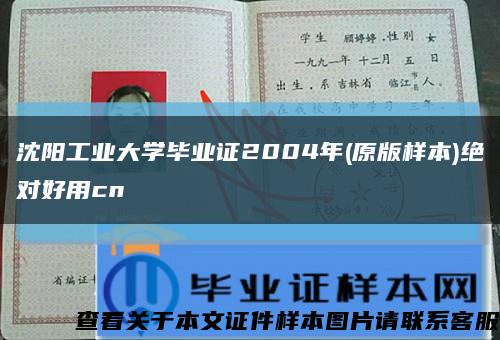 沈阳工业大学毕业证2004年(原版样本)绝对好用cn缩略图