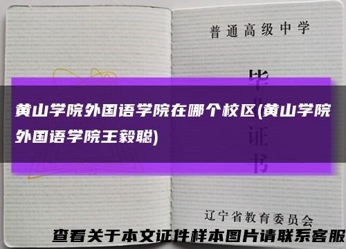 黄山学院外国语学院在哪个校区(黄山学院外国语学院王毅聪)缩略图