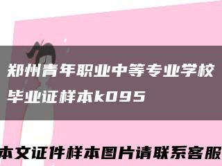 郑州青年职业中等专业学校毕业证样本k095缩略图