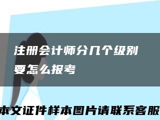 注册会计师分几个级别 要怎么报考缩略图