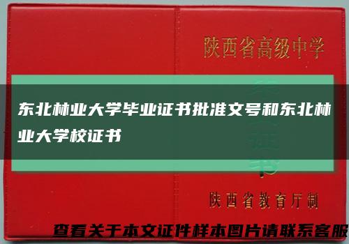 东北林业大学毕业证书批准文号和东北林业大学校证书缩略图