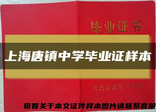 上海唐镇中学毕业证样本缩略图