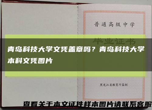 青岛科技大学文凭盖章吗？青岛科技大学本科文凭图片缩略图