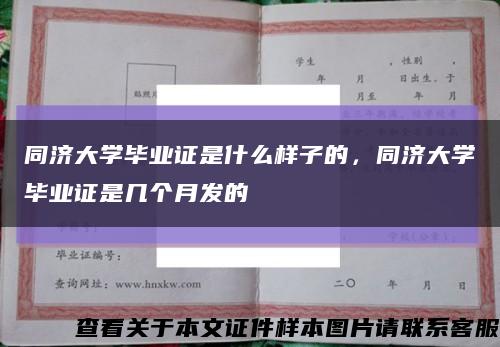 同济大学毕业证是什么样子的，同济大学毕业证是几个月发的缩略图