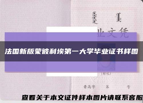 法国新版蒙彼利埃第一大学毕业证书样图缩略图