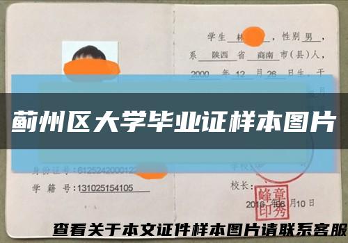 蓟州区大学毕业证样本图片缩略图