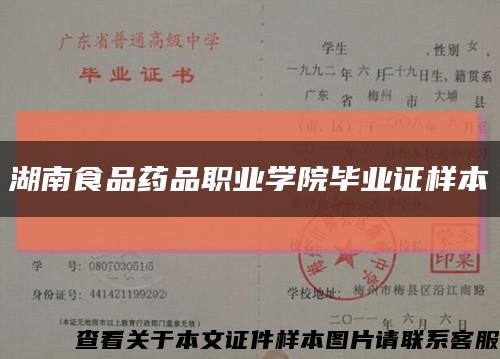 湖南食品药品职业学院毕业证样本缩略图