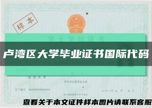 卢湾区大学毕业证书国际代码缩略图