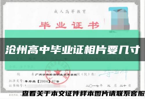 沧州高中毕业证相片要几寸缩略图