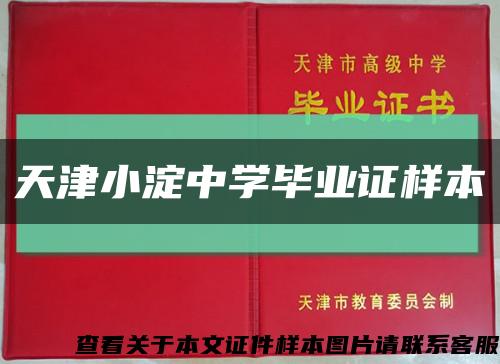 天津小淀中学毕业证样本缩略图