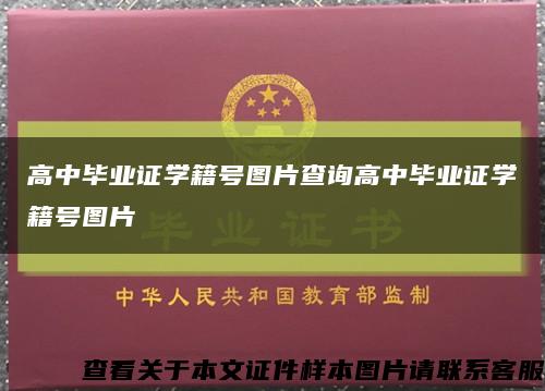 高中毕业证学籍号图片查询高中毕业证学籍号图片缩略图