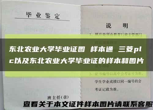 东北农业大学毕业证图 样本通 三菱plc以及东北农业大学毕业证的样本和图片缩略图