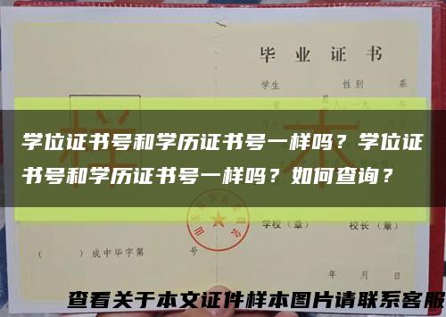 学位证书号和学历证书号一样吗？学位证书号和学历证书号一样吗？如何查询？缩略图