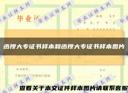 函授大专证书样本和函授大专证书样本图片缩略图