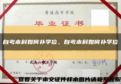 自考本科如何补学位，自考本科如何补学位缩略图