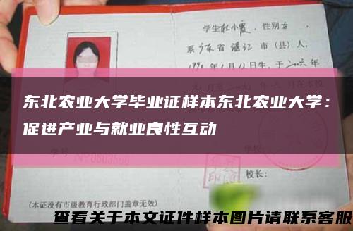 东北农业大学毕业证样本东北农业大学：促进产业与就业良性互动缩略图