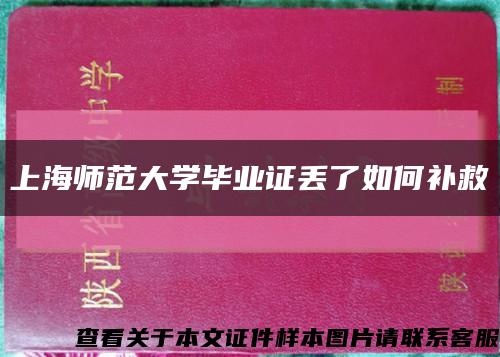 上海师范大学毕业证丢了如何补救缩略图