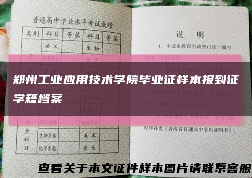 郑州工业应用技术学院毕业证样本报到证学籍档案缩略图