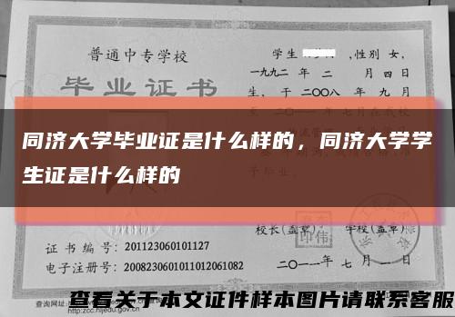 同济大学毕业证是什么样的，同济大学学生证是什么样的缩略图