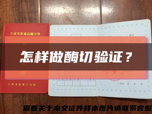 怎样做酶切验证？缩略图