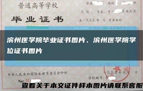 滨州医学院毕业证书图片、滨州医学院学位证书图片缩略图