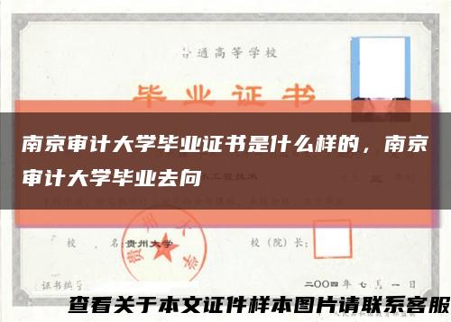 南京审计大学毕业证书是什么样的，南京审计大学毕业去向缩略图