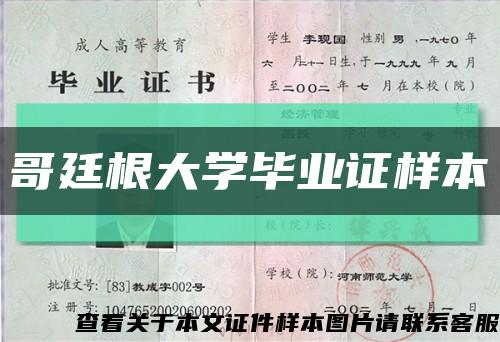 哥廷根大学毕业证样本缩略图