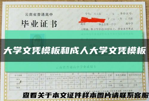 大学文凭模板和成人大学文凭模板缩略图