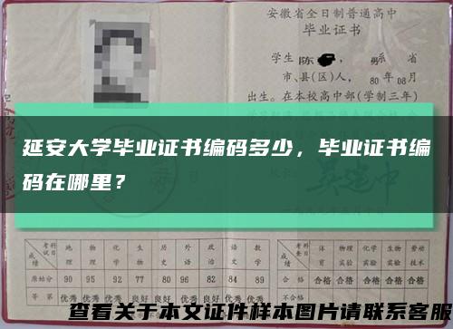 延安大学毕业证书编码多少，毕业证书编码在哪里？缩略图