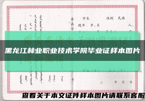 黑龙江林业职业技术学院毕业证样本图片缩略图