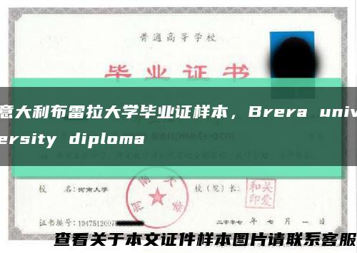 意大利布雷拉大学毕业证样本，Brera university diploma缩略图