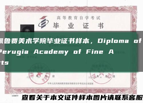 佩鲁贾美术学院毕业证书样本，Diploma of Perugia Academy of Fine Arts缩略图