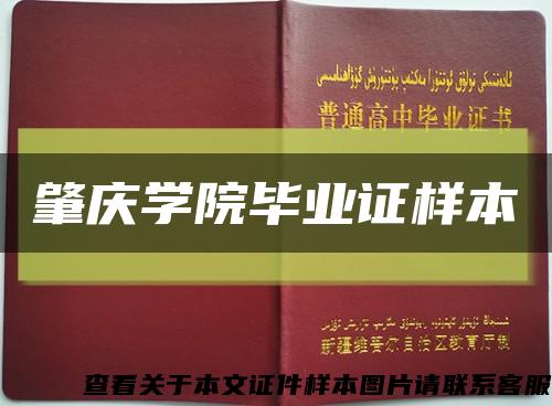 肇庆学院毕业证样本缩略图