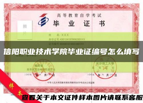 信阳职业技术学院毕业证编号怎么填写缩略图