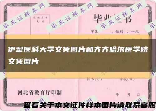 伊犁医科大学文凭图片和齐齐哈尔医学院文凭图片缩略图