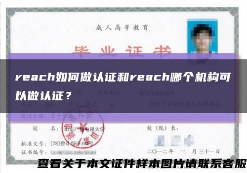 reach如何做认证和reach哪个机构可以做认证？缩略图