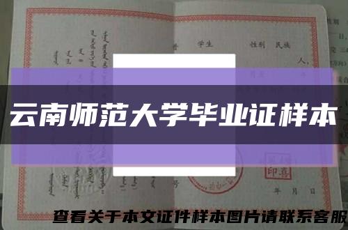 云南师范大学毕业证样本缩略图