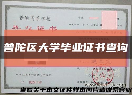 普陀区大学毕业证书查询缩略图