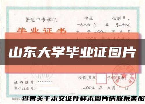 山东大学毕业证图片缩略图