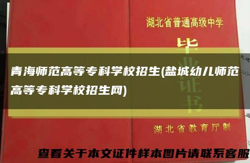 青海师范高等专科学校招生(盐城幼儿师范高等专科学校招生网)缩略图