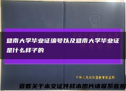 暨南大学毕业证编号以及暨南大学毕业证是什么样子的缩略图