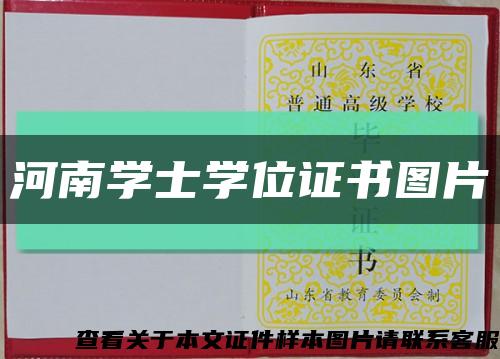 河南学士学位证书图片缩略图